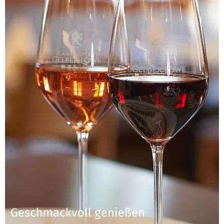 Landhotel Gelber Loewe ホテル *